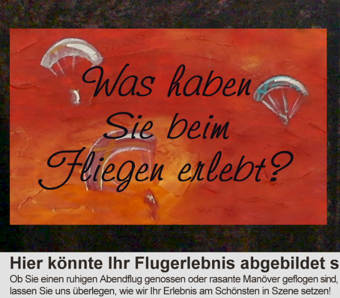 Ihr Flugerlebnis