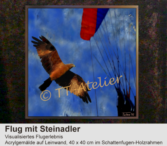Flug mit Steinadler