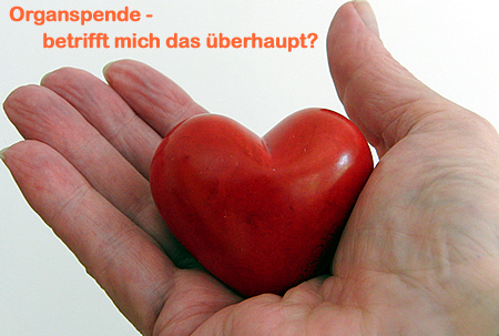 Organspende