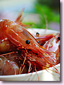 Fisch & Meeresfr&uuml;chte