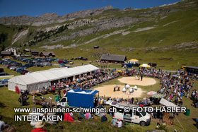 Engstlenalpschwinget