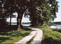 Heide- und Teichlandschaft