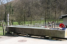 Quellbrunnen | Urfreibergerhof | CH - 4704 Niederbipp