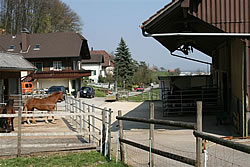 Unser Urfreibergerhof in Niederbipp