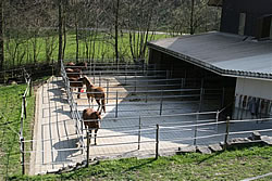 Unser Urfreibergerhof in Niederbipp