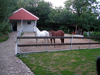 Ferienhaus Ferienwohnung in Schlesig-Holstein - Urlaub mit eigenem Pferd Gastpferdeboxen Eutin Kasseedorf nahe Neustadt an der Ostsee