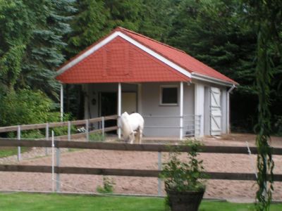 urlaub-mit-pferd025.jpg