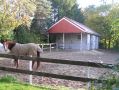 urlaub-mit-pferd022.jpg