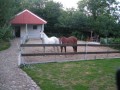 urlaub-mit-pferd001.jpg