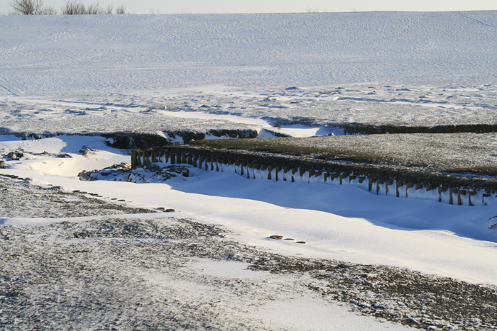 Winterurlaub an der Nordsee - auf der Insel Pellworm