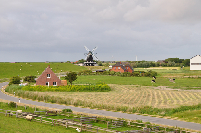 Pellwormer Landblick - mit viel Natur, Wiesen, Felder