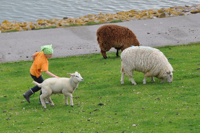 Aktive Freizeitgestaltung auf der Nordseeinsel Pellworm