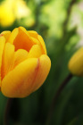 Farbenfroh