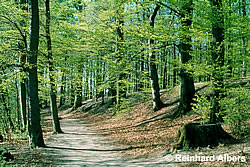 secondhandmode first class urteswerkstatt in Bordesholm