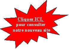 nouveau site