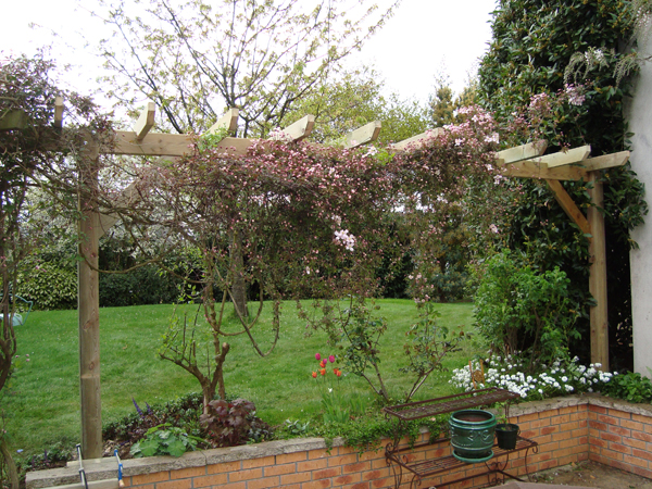 pergola simple