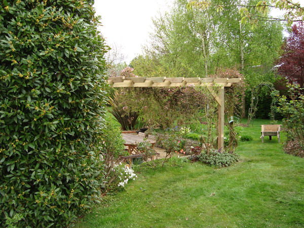 pergola simple