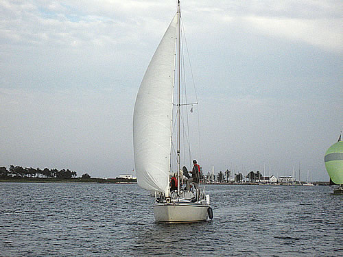 IMG_2083.jpg