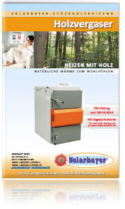Prospekt Holzvergaser