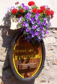 route des vins vins-straub