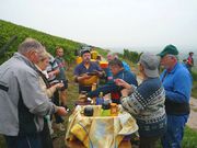 pause caf� vins-straub.jpg