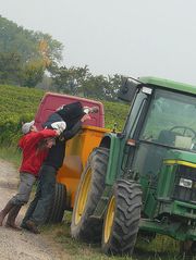 intronisation des nouvelles recrues vins-straub.jpg