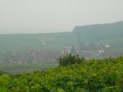 blienschwiller dans la brume vins-straub.jpg