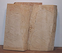 Holz