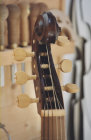 Italienische Bass Viola da Gamba nach Gasparo da Sal� ?, Brescia um 1600