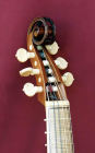 High Treble Viol (Diskant Viola da Gamba) nach Barak Norman, London um 1700