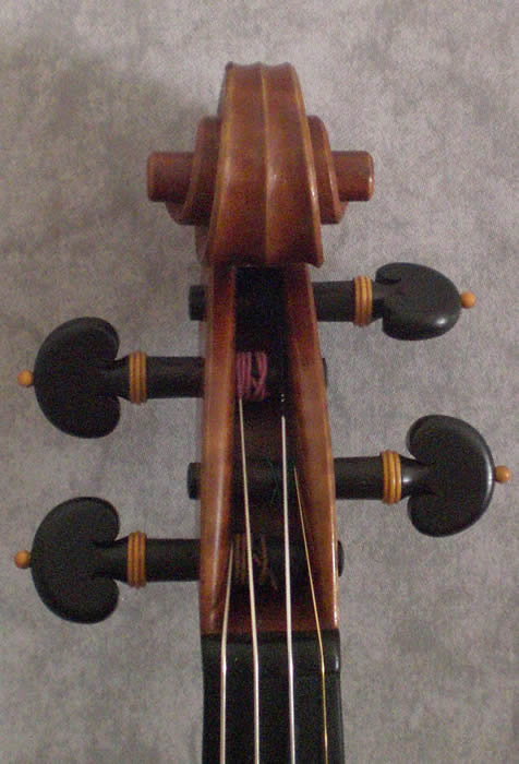 back
