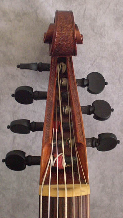back