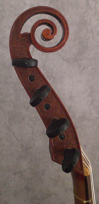 back