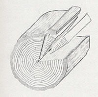Spiegelholz