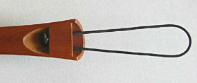 Tailcord