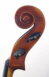 Gill 314