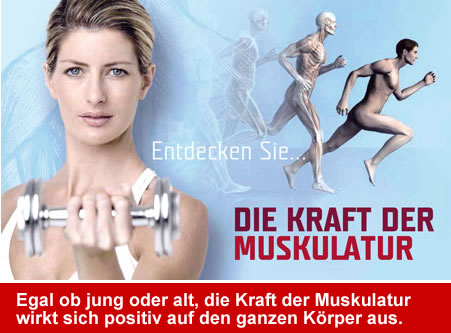 Die Kraft der Muskulatur