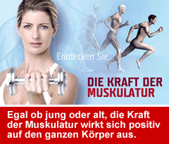 Die Kraft der Muskulatur