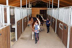 Stall mit gepflegten Boxen