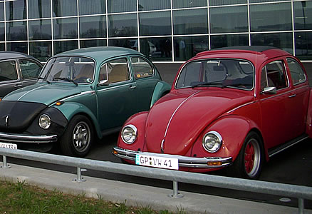 DSCI1001_438_300.jpg