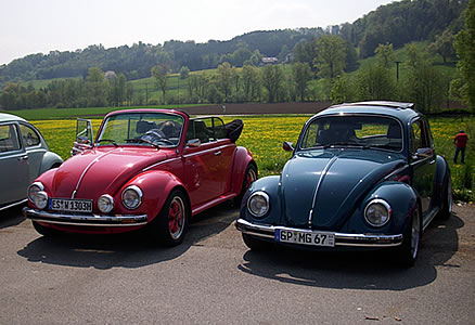 DSCI0164_438_300.jpg