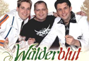 W�lderblut-Single "Ein M�dchen wie Du"
