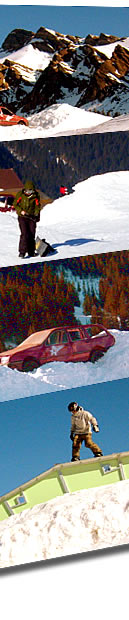 Snowpark Bumps - W�schbar