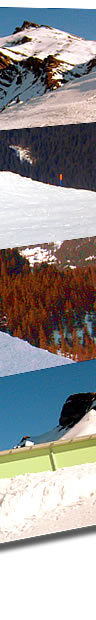 Snowpark Bumps - W�schbar