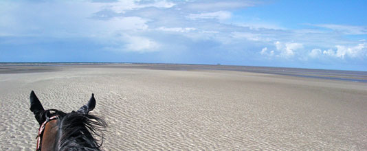 Wattreiten vor der Insel Pellworm