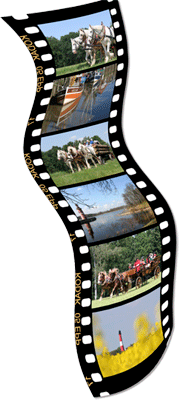 Fotowettbewerb Wattreiterhof Pellworm