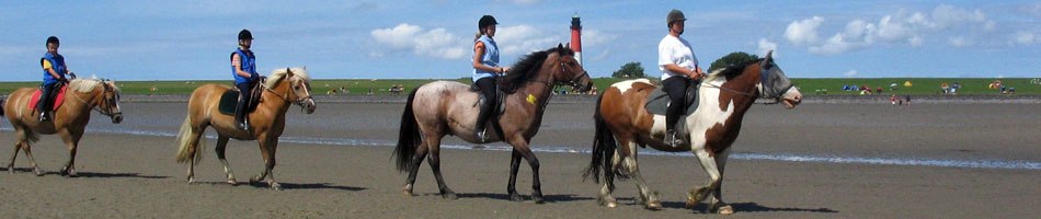 Bild1