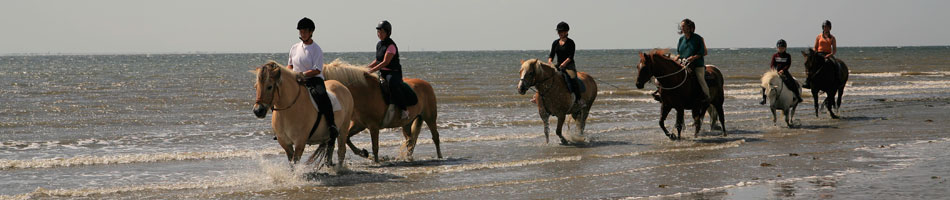 Bild3