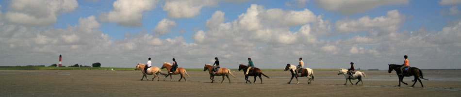 Bild8