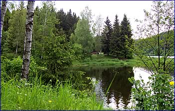 Natur im Oberharz